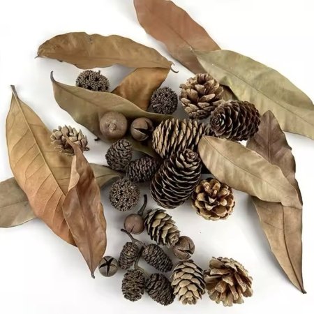 ثمرة الصنوبر <br> <span class='text-color-warm'>سيتوفر قريباً</span>